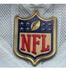 Men Minnesota Vikings Gold NFL Logo Patch Biaog