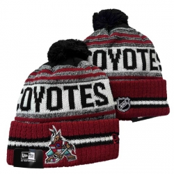 Arizona Coyotes NHL Beanies 002