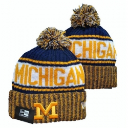 Michigan Wolverines NCAA Beanies 002