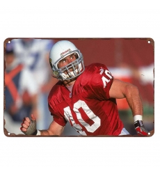 Arizona Cardinals Aluminum Sign 12x8 Inch Pat Tillman 005